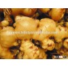Vietnamese Hot Taste Fresh Ginger