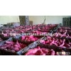 HIGH QUALITY FRESH SWEET POTATO/FROZEN SWEET POTATO