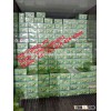 Seedless lemon high quality of Viet Nam 2015