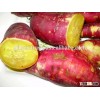 GIMEX VIET NAM FRESH SWEET POTATO/FROZEN SWEET POTATO/