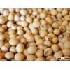 Soy bean