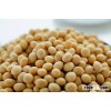 VIETNAMESE SOYBEANS