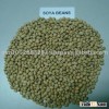 Soya Bean