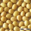 Soyabean Seeds grade A Grade A