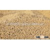 Soybean at cheap price