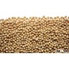 NON GMO SOYBEANS