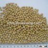 Yellow soya beans for sprouting