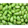 Soybeans, 100% Natural and Premium Quality, Health Food, Grade 1 quality from Bolivia