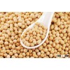 Good Quality Dried Soybean, Soybean Seed