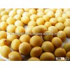 Non-GMO organic soybean/soya bean from Africa