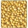 Soya Beans