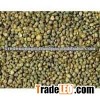 green milet/bajra Seller