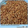 New White Sorghum Seeds, Red Sorghum