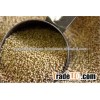 QUINOA PROCESSED