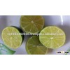 Fresh Lemon - High quality - Best price