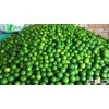 CHEAP PRICE OF FRESH GREEN LIME HIGH QUALITY FROM VIETNAM