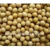Soybeans
