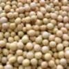 Soya Bean Gmo 2
