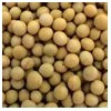 Soya Bean