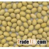 SOYBEANS