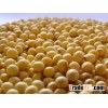 SOYA BEANS NON GMO Bulk Orders Grade #2