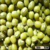 Green Mung Beans