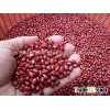 Vigna beans