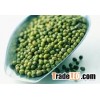 Green Mung Beans