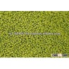 new crop green mung bean from Africa