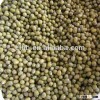 Green Mung Beans / Green Gram /Moong Dal