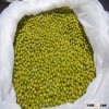 High Quality Green Mung Beans for Sell