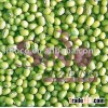 Green Mung Bean