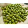 Top Quality Fresh,Frozen And Dried Green Mung Beans