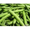 Egyptian Fresh Green Beans