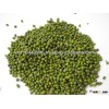GREEN MUNG BEAN