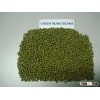 Green Mung Beans