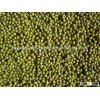 Green Mung Bean