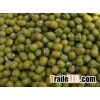 Green Mung Beans