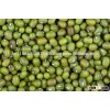 100% PURE PREMIUM QUALITY DRIED GREEN MUNG BEAN