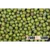 Green Mung beans