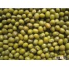New Crop Food Grade Green Mung Bean