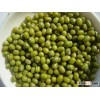 Tanzania Green Mung Beans ( Best Quality )..