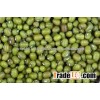 High Quality Green Mung Beans Foul Medames