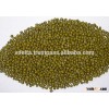Green Moong Bean/ Mung Bean high quality