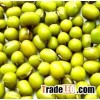 Green Mung Beans / Green Gram / Vigna radiata (Red Ruby)