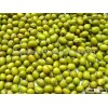 Green Moong Bean