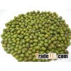 green mung bean