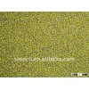 Mung Bean