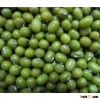 High Quality Green Mung Bbean /Common Cultivation Green Mung Beans