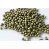 Prime Quality Green Mung Beans / Green Gram (Vigna radiata)